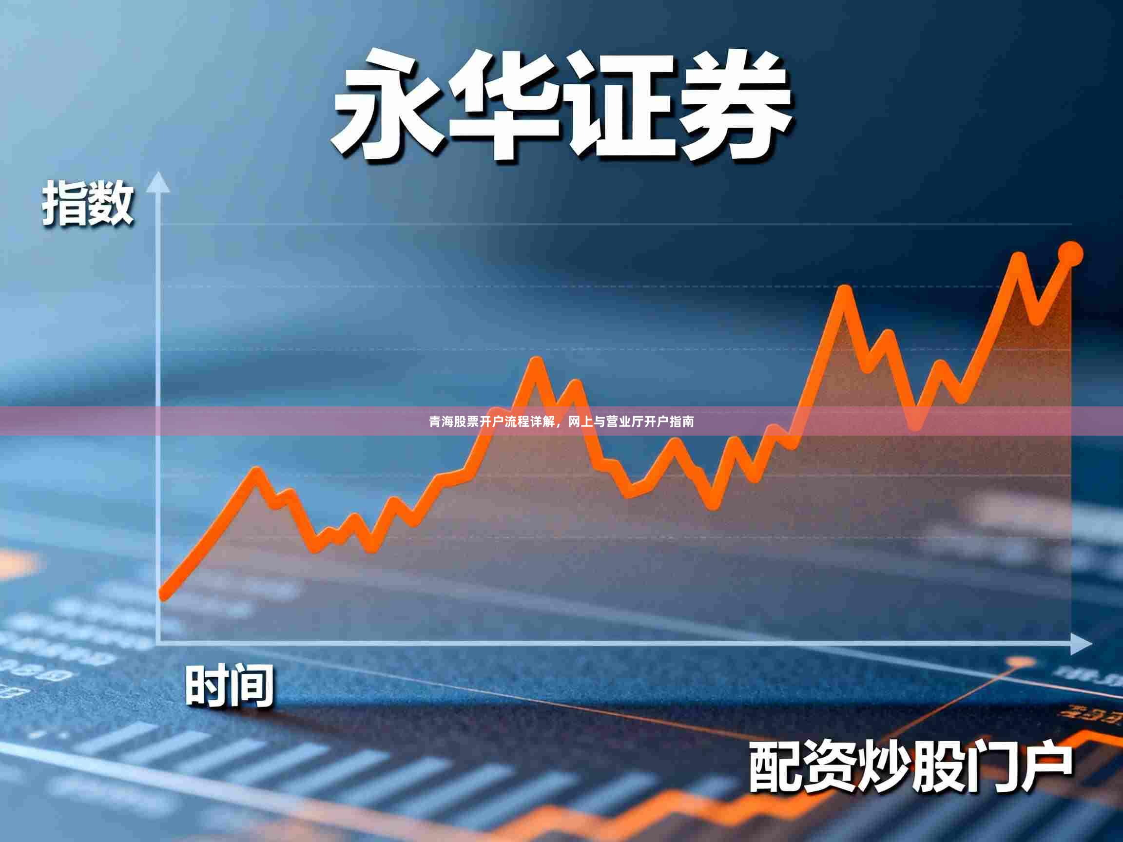 青海股票开户流程详解，网上与营业厅开户指南