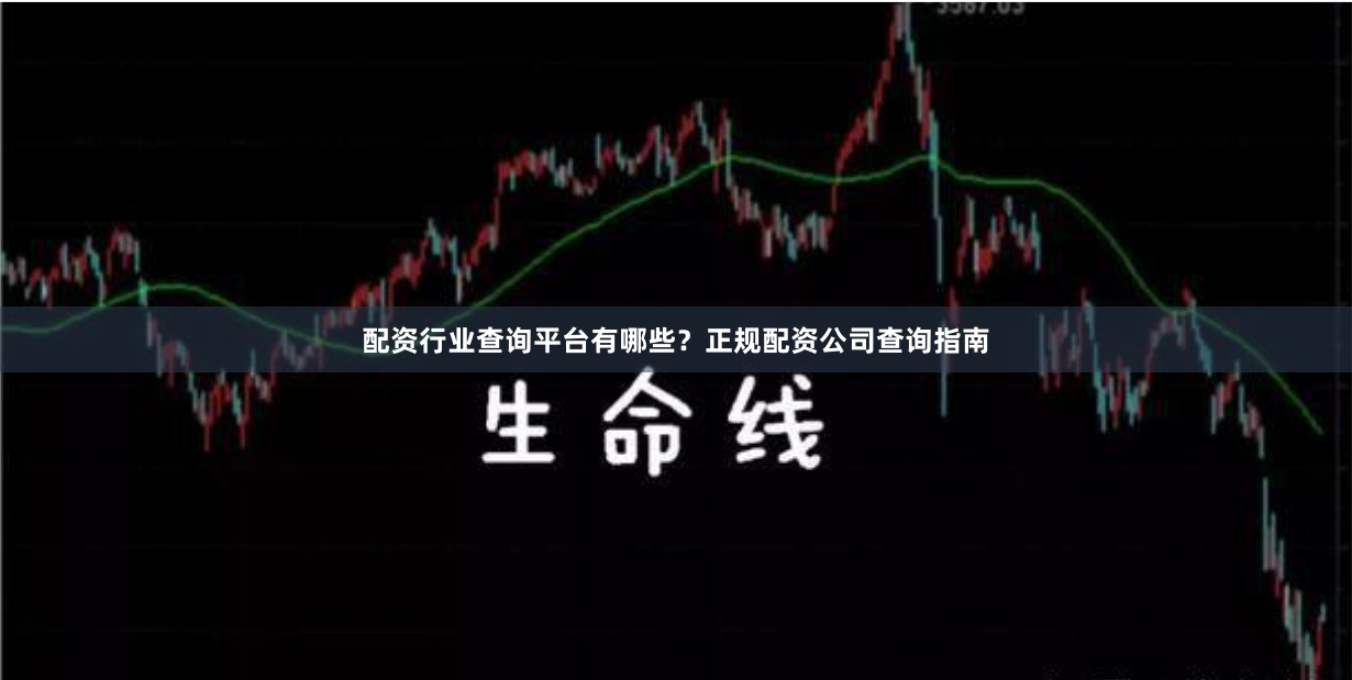 配资行业查询平台有哪些？正规配资公司查询指南