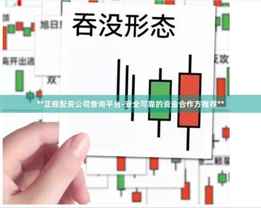 **正规配资公司查询平台-安全可靠的资金合作方推荐**