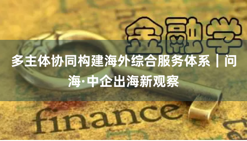 多主体协同构建海外综合服务体系︱问海·中企出海新观察