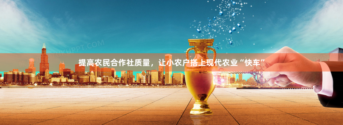 提高农民合作社质量，让小农户搭上现代农业“快车”
